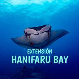 Extension-Hanifaru-Bay